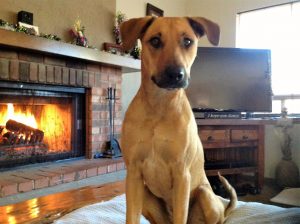 0145df2b3315f404d52c6b9c1615ce1c79a70fecd9