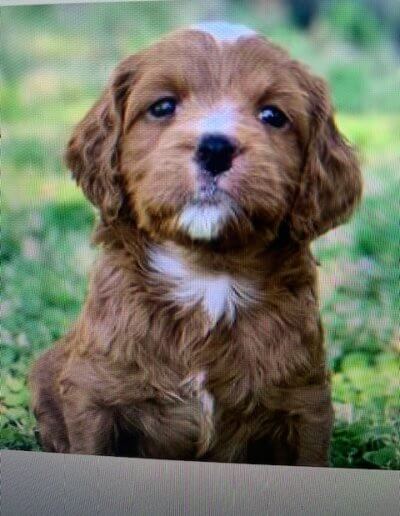 F898947A-8181-479C-8578-930C5EB28814